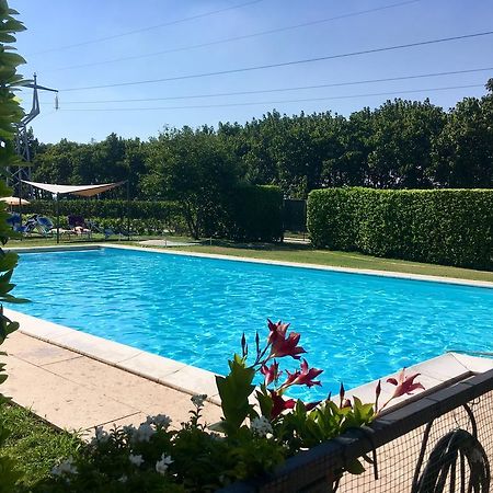 Agriturismo Corte Pellegrini San Martino Buon Albergo Dış mekan fotoğraf