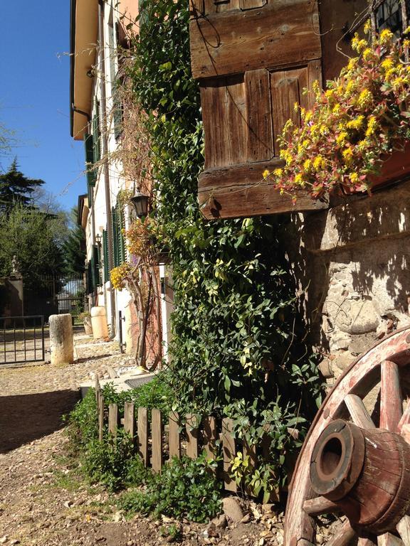 Agriturismo Corte Pellegrini San Martino Buon Albergo Dış mekan fotoğraf