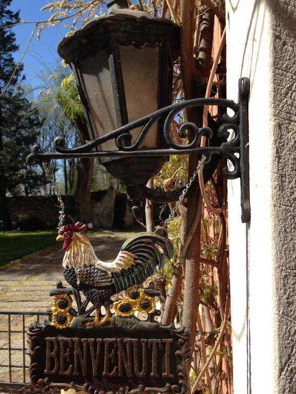 Agriturismo Corte Pellegrini San Martino Buon Albergo Dış mekan fotoğraf