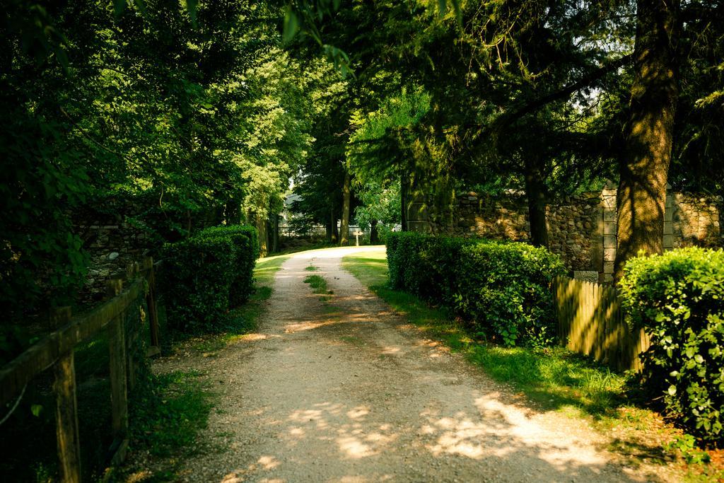 Agriturismo Corte Pellegrini San Martino Buon Albergo Dış mekan fotoğraf